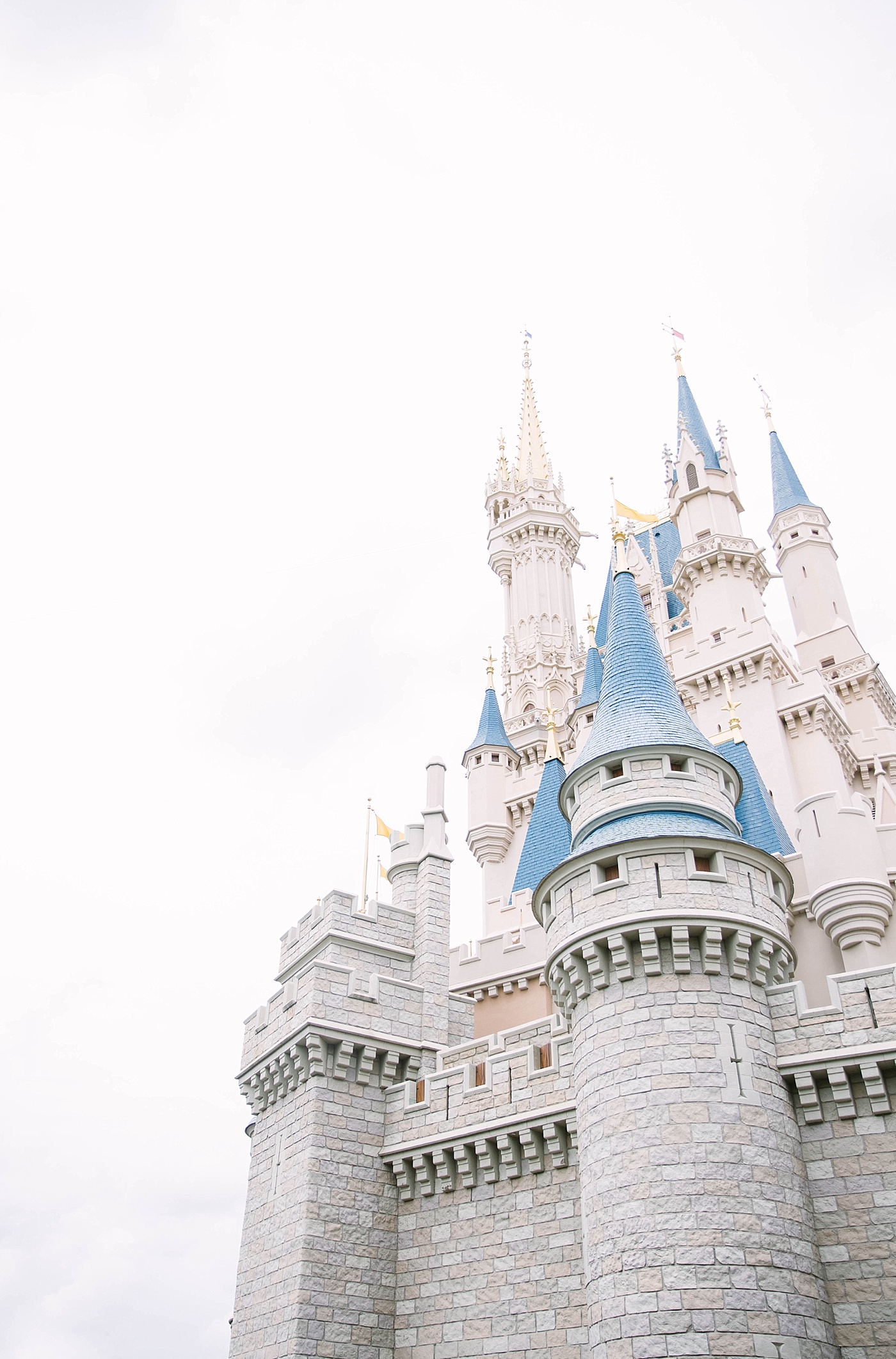 Disney castle photographer